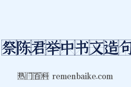 祭陈君举中书文造句是什么意思的图片
